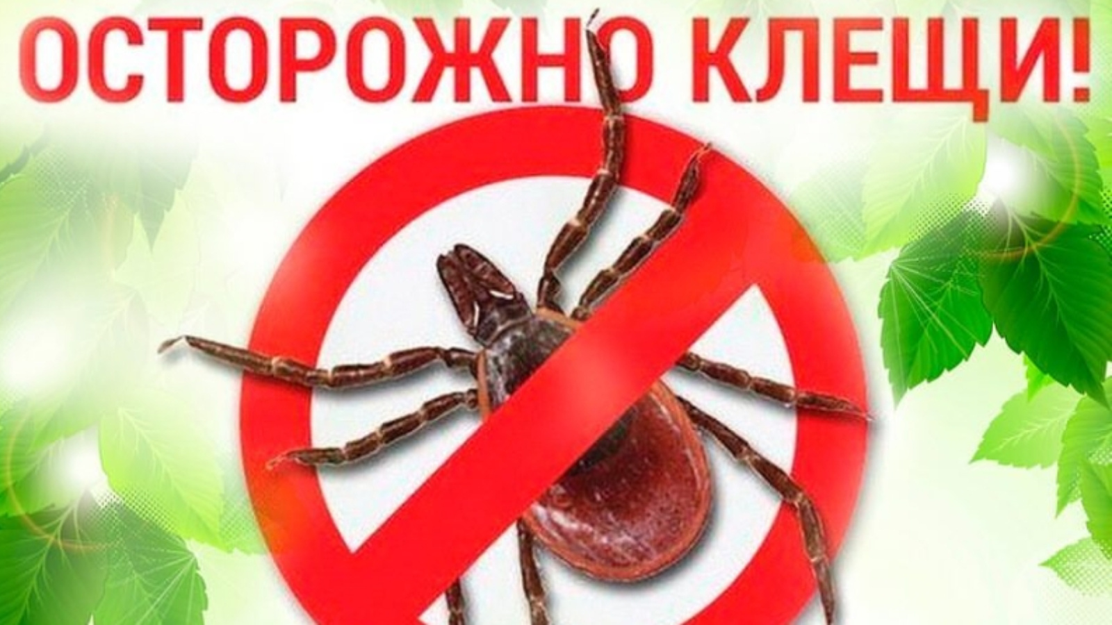 Клещевой энцефалит.