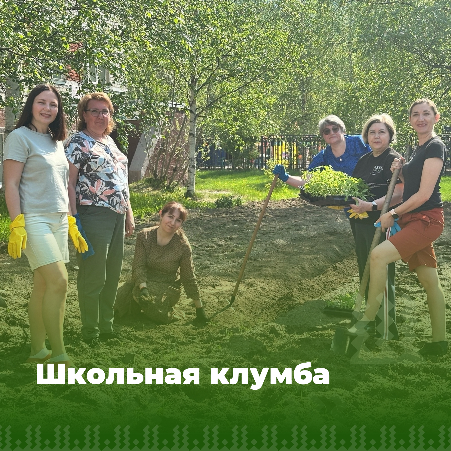 Школьная клумба.